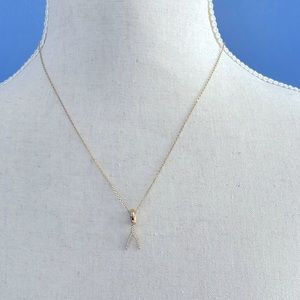 Michael Kors necklace and wishbone charm